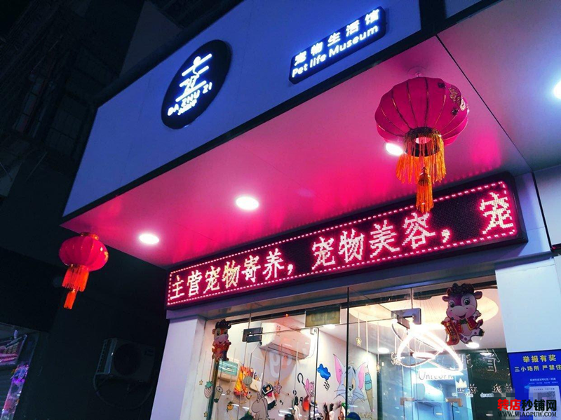 宝安后瑞 宠物店旺铺转让 可空转 不能明火